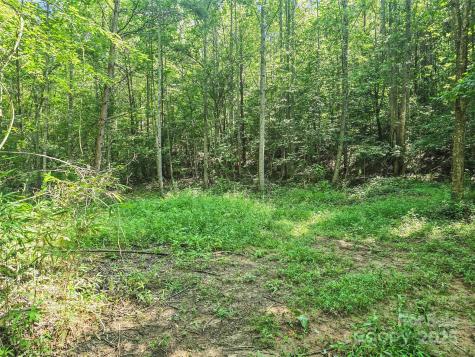 0000 Bills Creek Road Lake Lure NC 28746