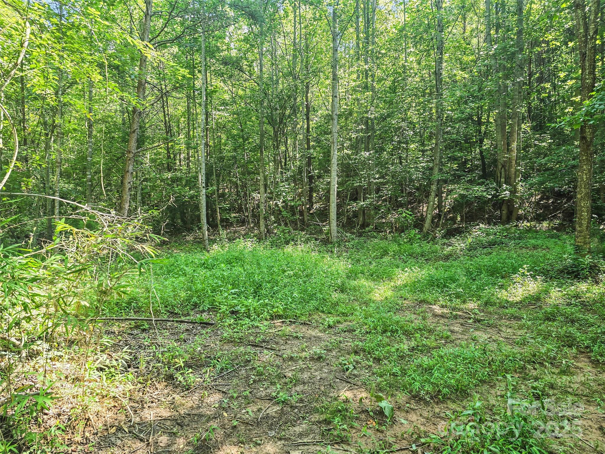 0000 Bills Creek Road Lake Lure NC 28746