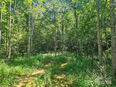 0000 Bills Creek Road Lake Lure NC 28746