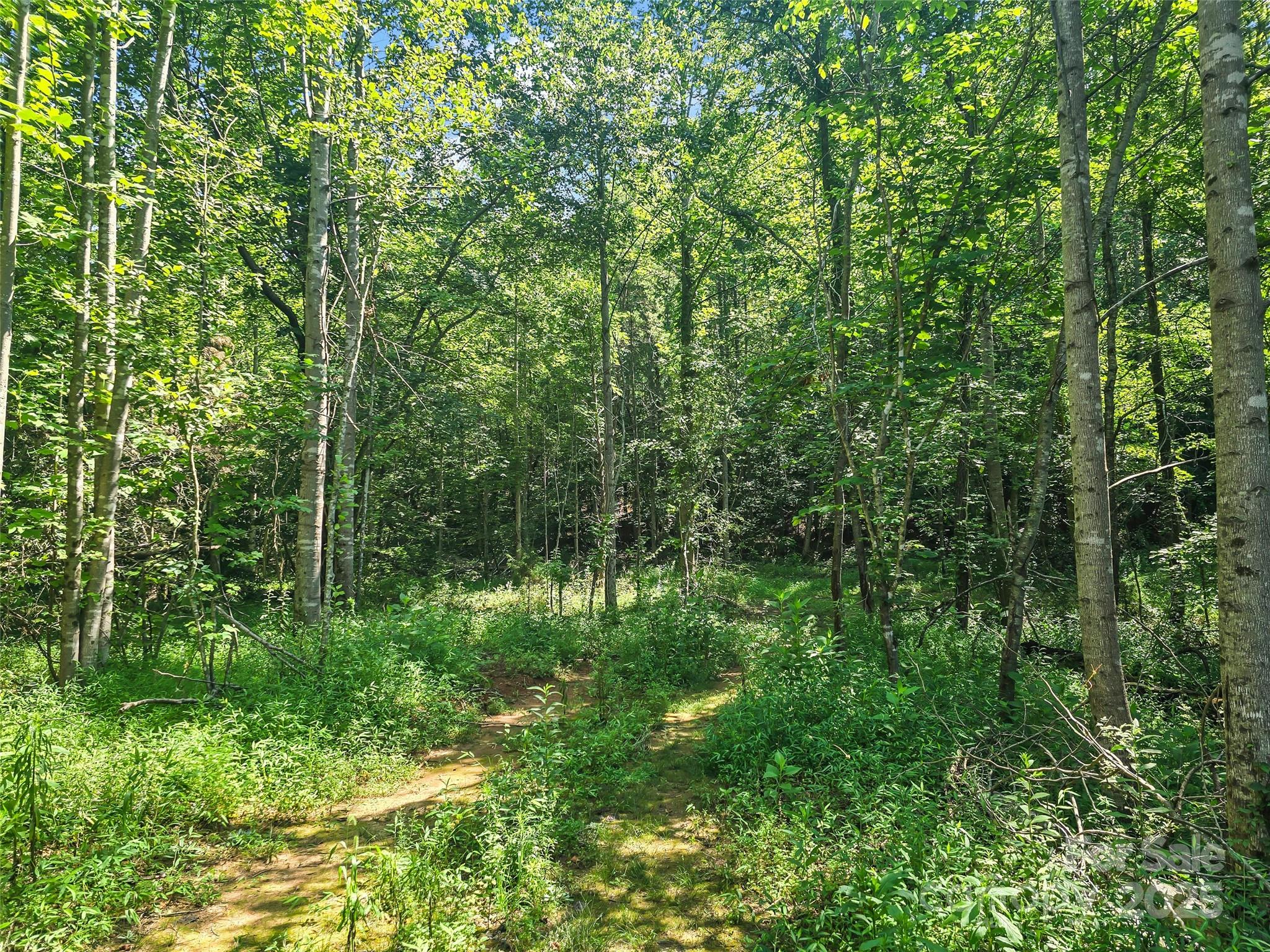 0000 Bills Creek Road Lake Lure NC 28746