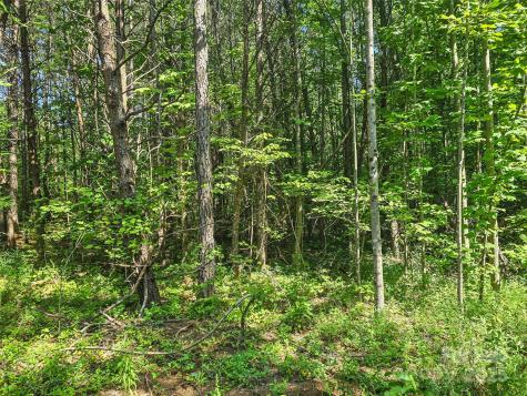 0000 Bills Creek Road Lake Lure NC 28746
