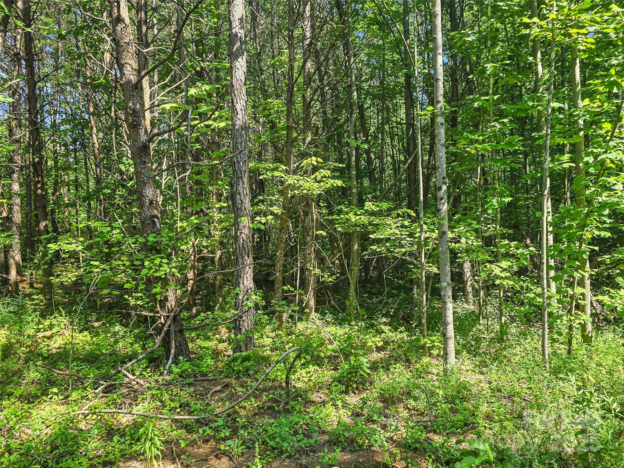 0000 Bills Creek Road Lake Lure NC 28746