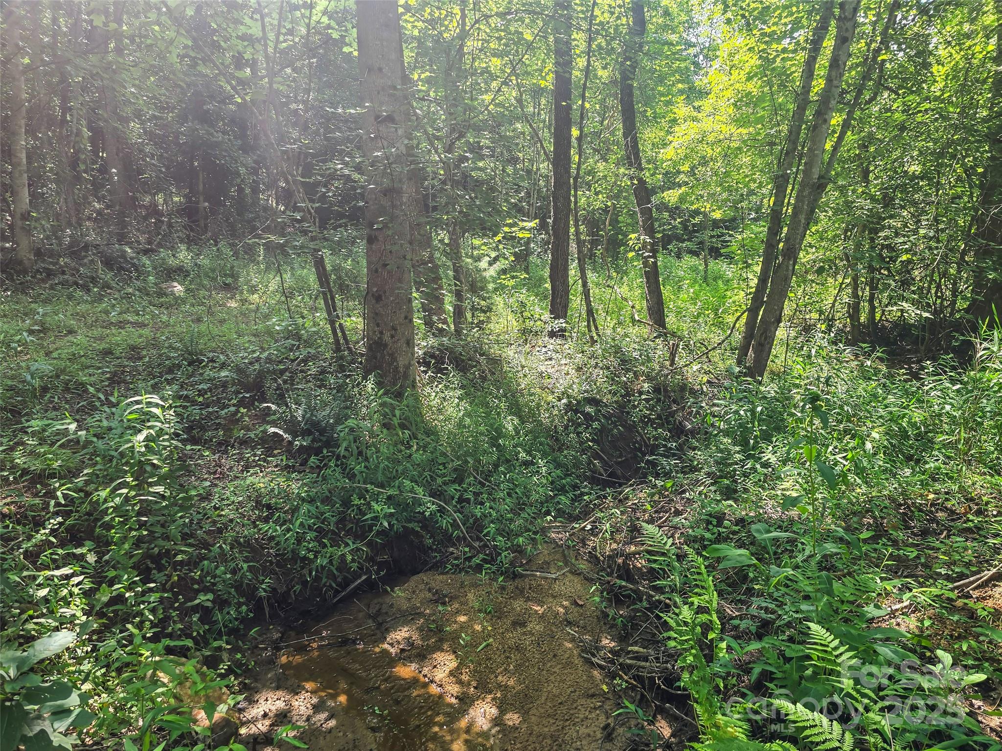0000 Bills Creek Road Lake Lure NC 28746