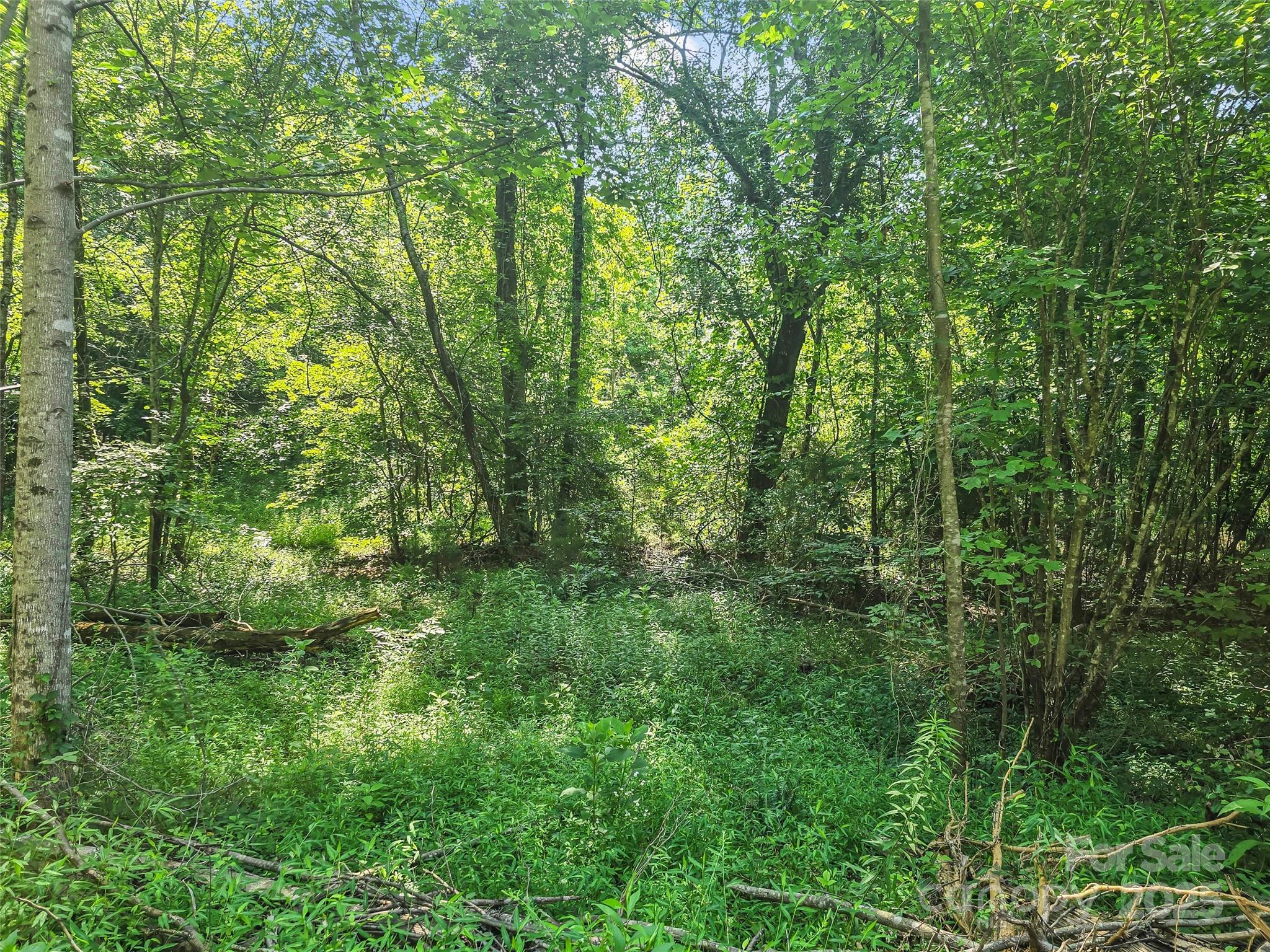 0000 Bills Creek Road Lake Lure NC 28746