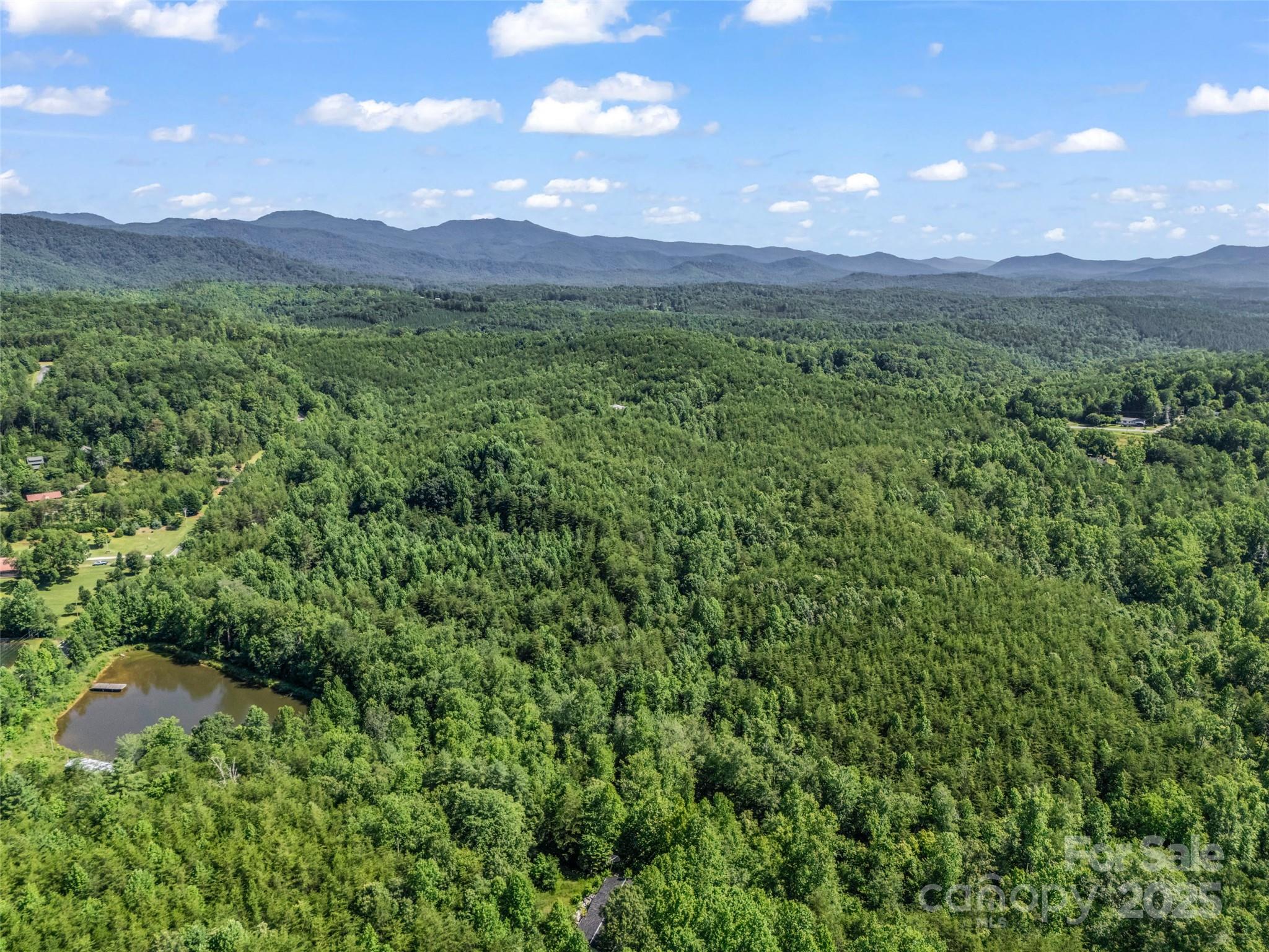 0000 Bills Creek Road Lake Lure NC 28746