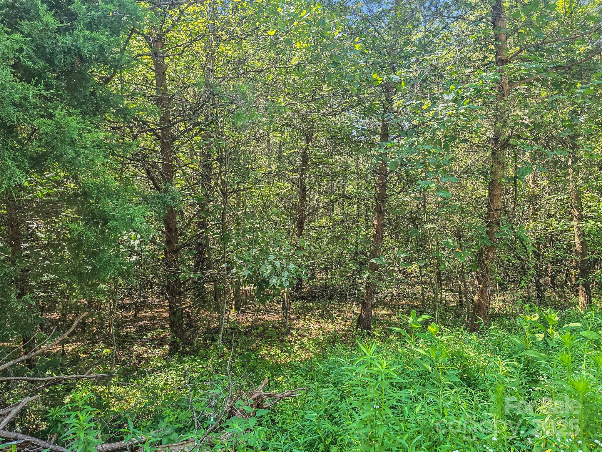0000 Bills Creek Road Lake Lure NC 28746