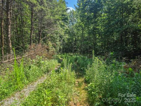 0000 Bills Creek Road Lake Lure NC 28746