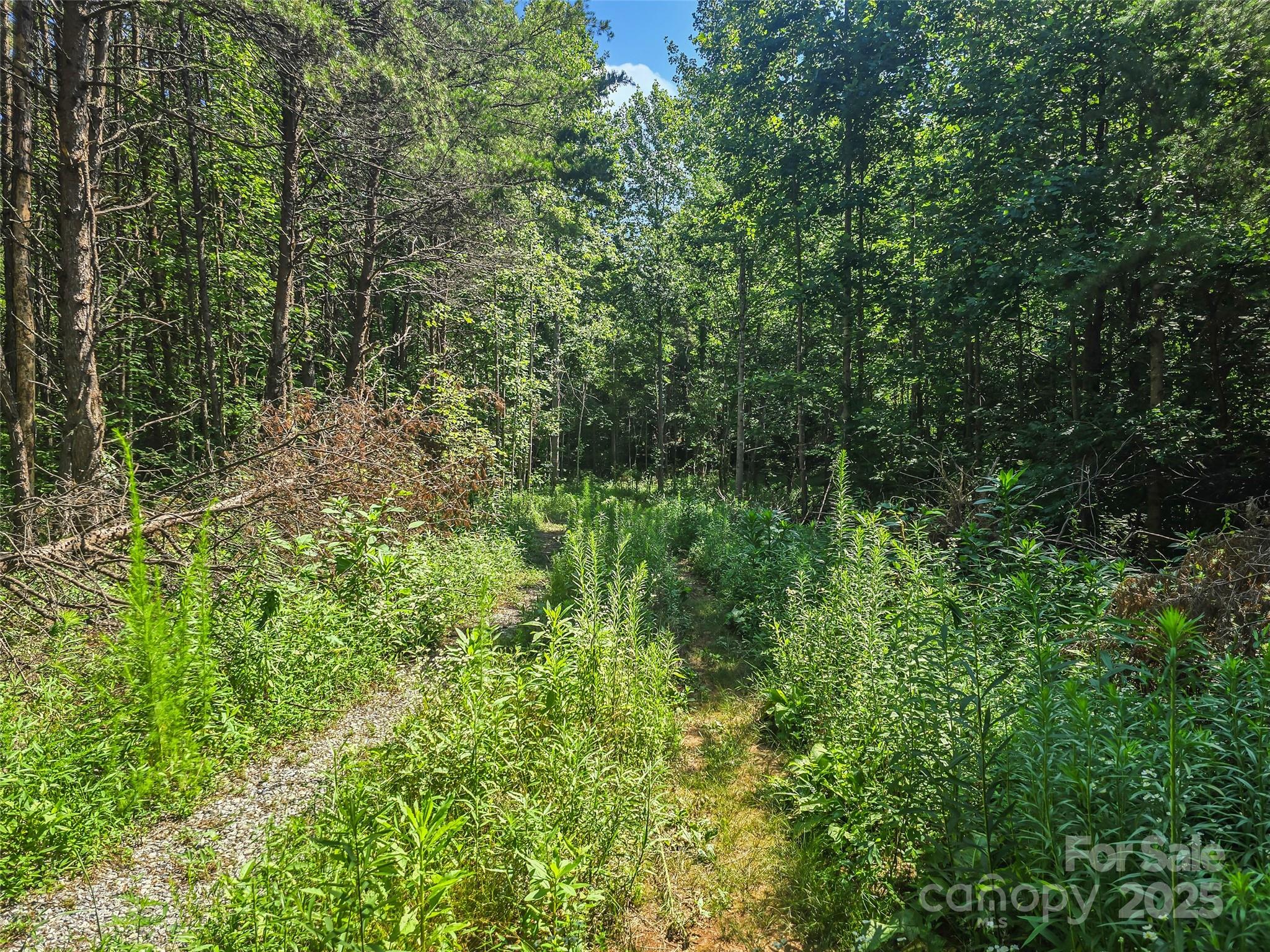 0000 Bills Creek Road Lake Lure NC 28746