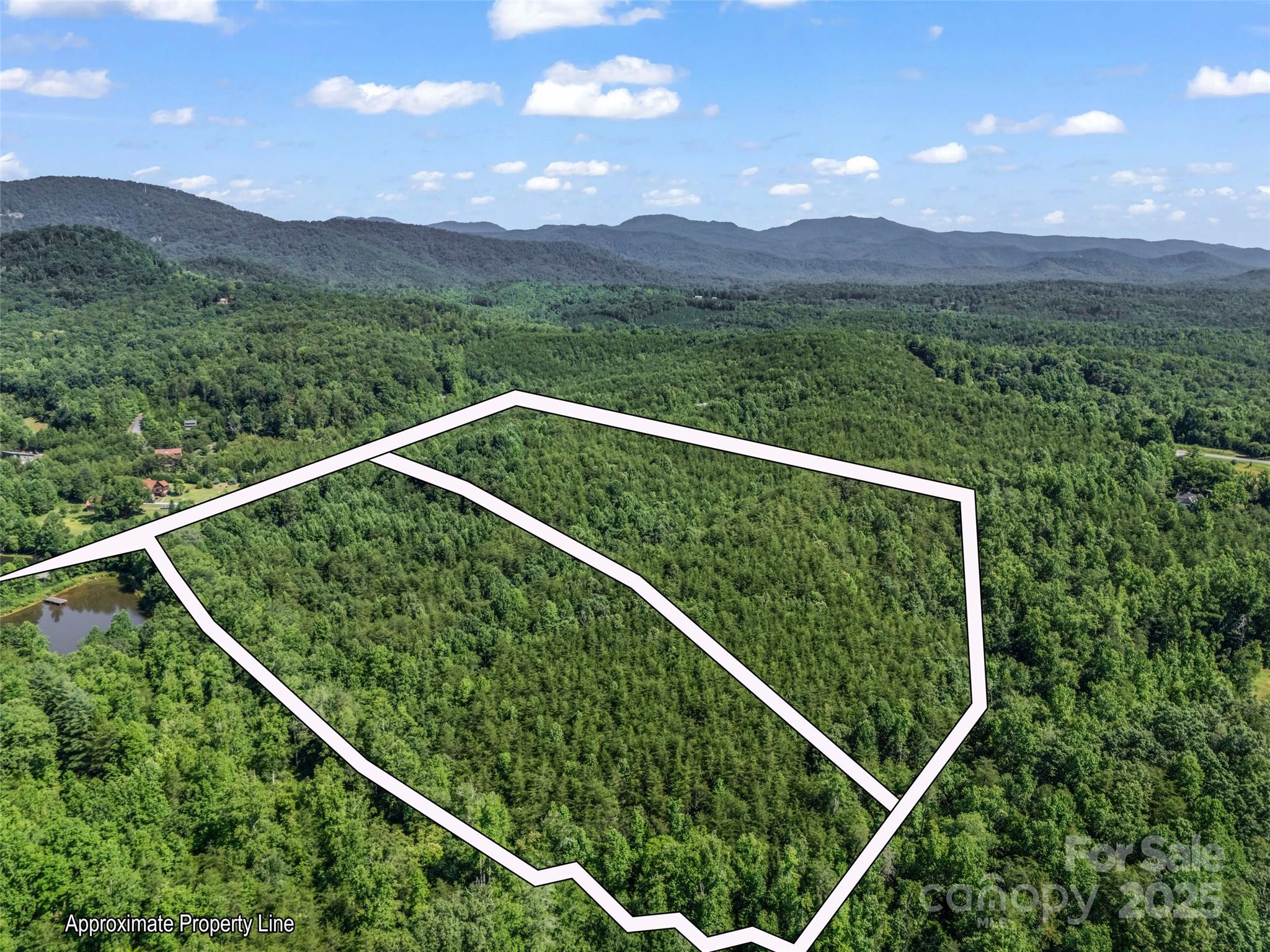 0000 Bills Creek Road Lake Lure NC 28746