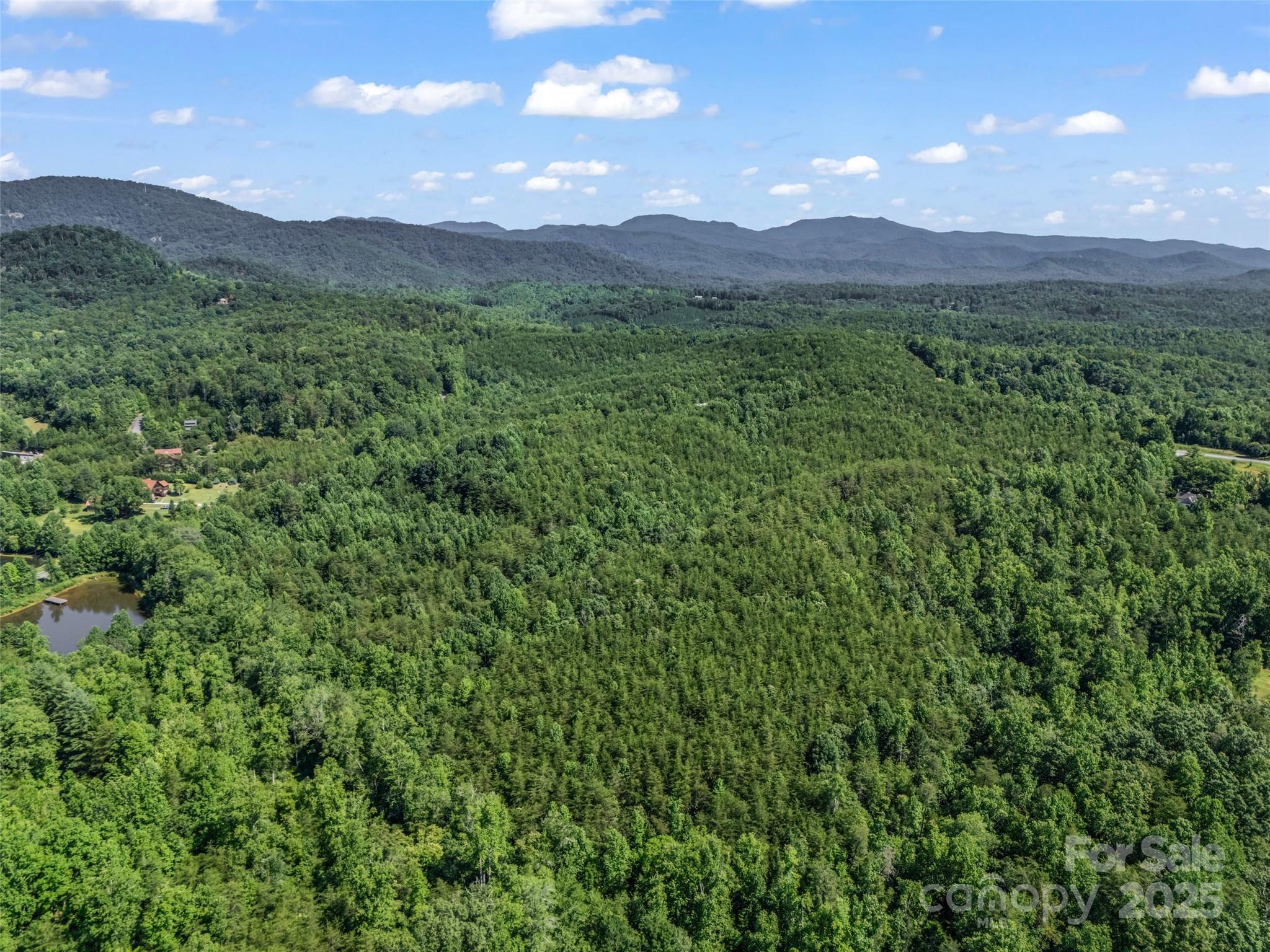 0000 Bills Creek Road Lake Lure NC 28746