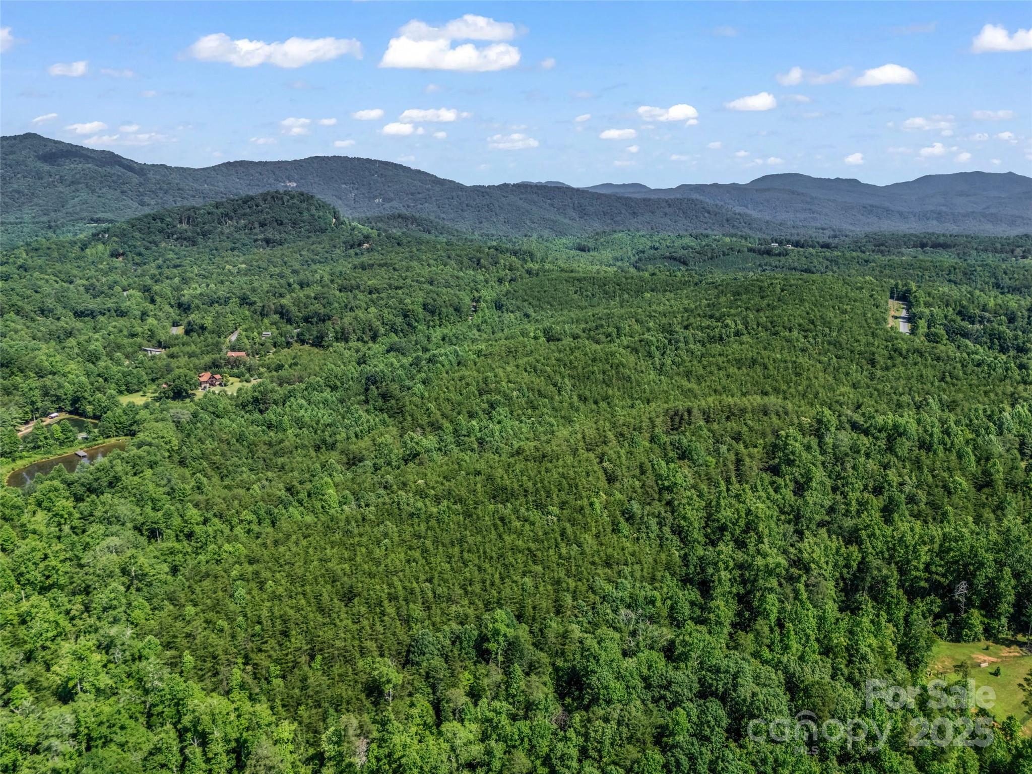 0000 Bills Creek Road Lake Lure NC 28746