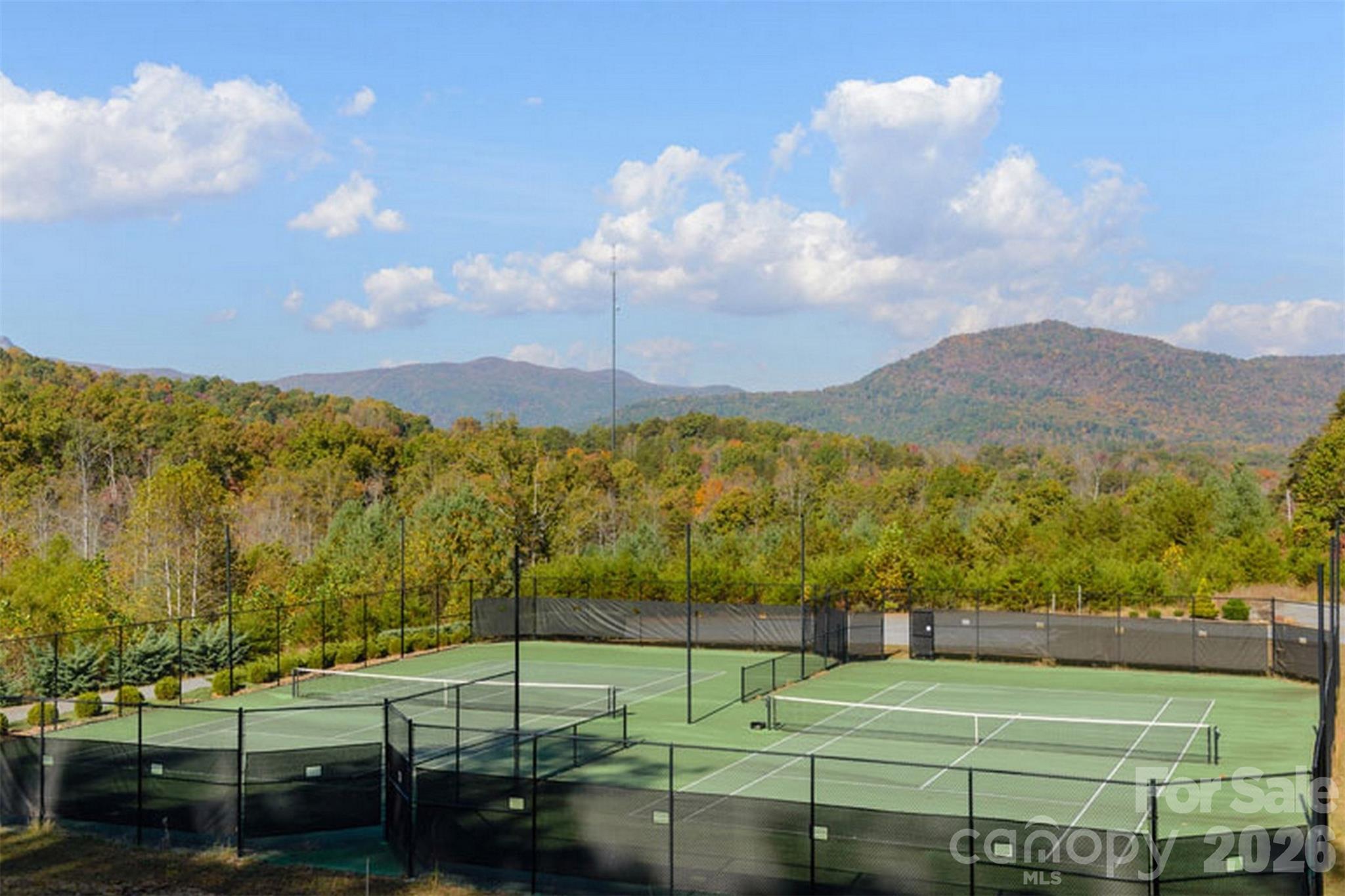 270 Rock Ledge Drive Lake Lure NC 28746