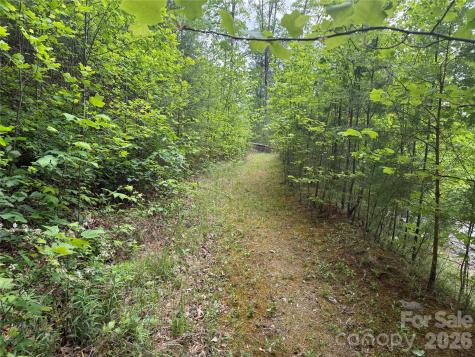 270 Rock Ledge Drive Lake Lure NC 28746
