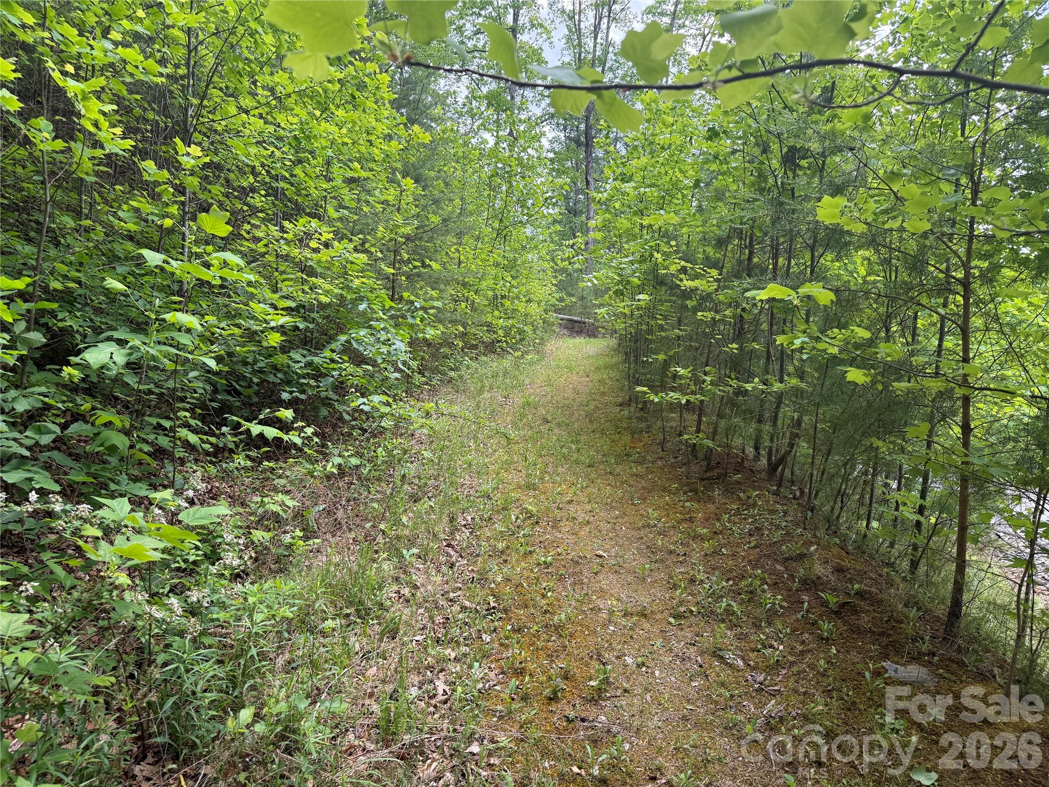 270 Rock Ledge Drive Lake Lure NC 28746