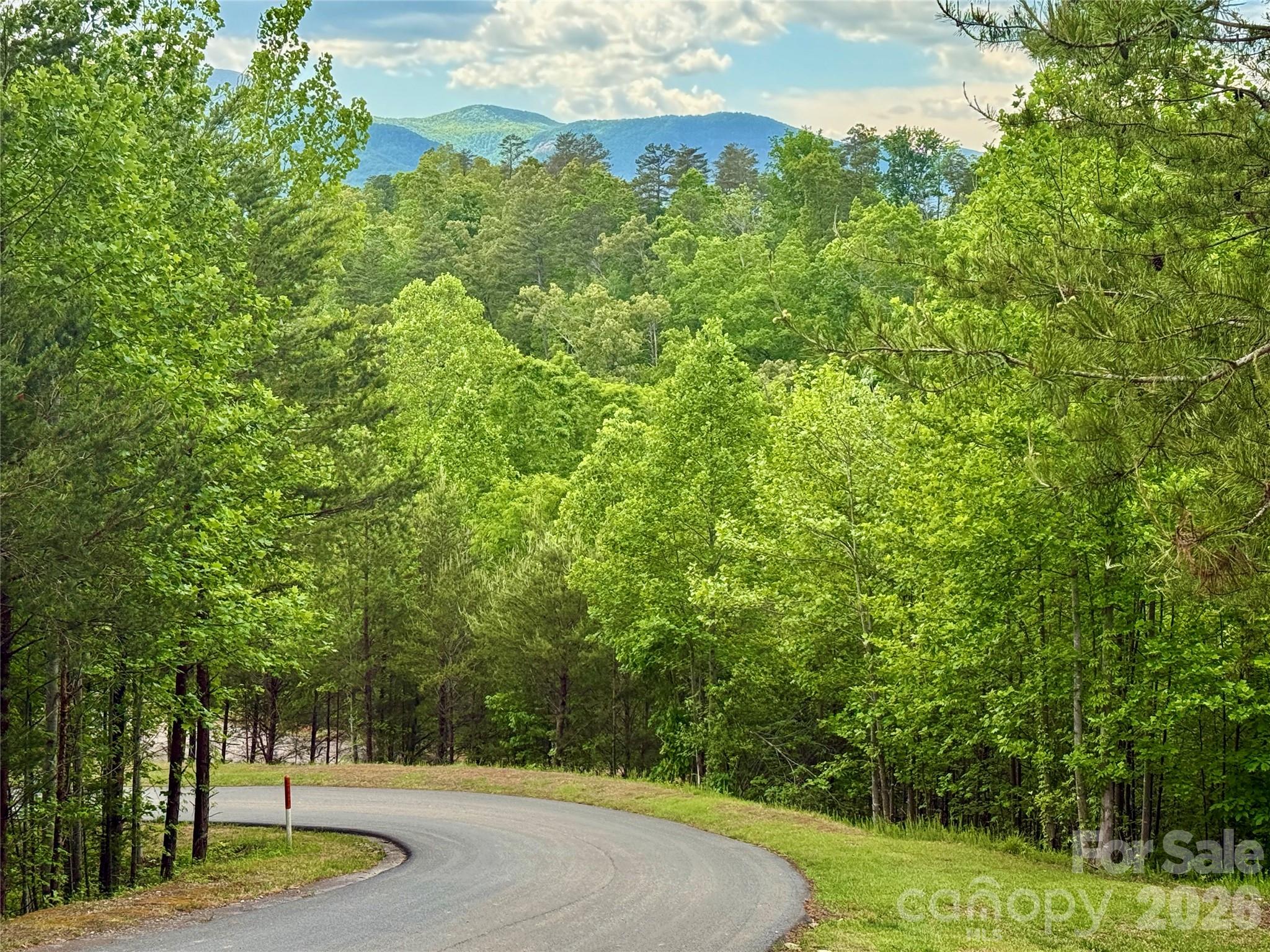 270 Rock Ledge Drive Lake Lure NC 28746