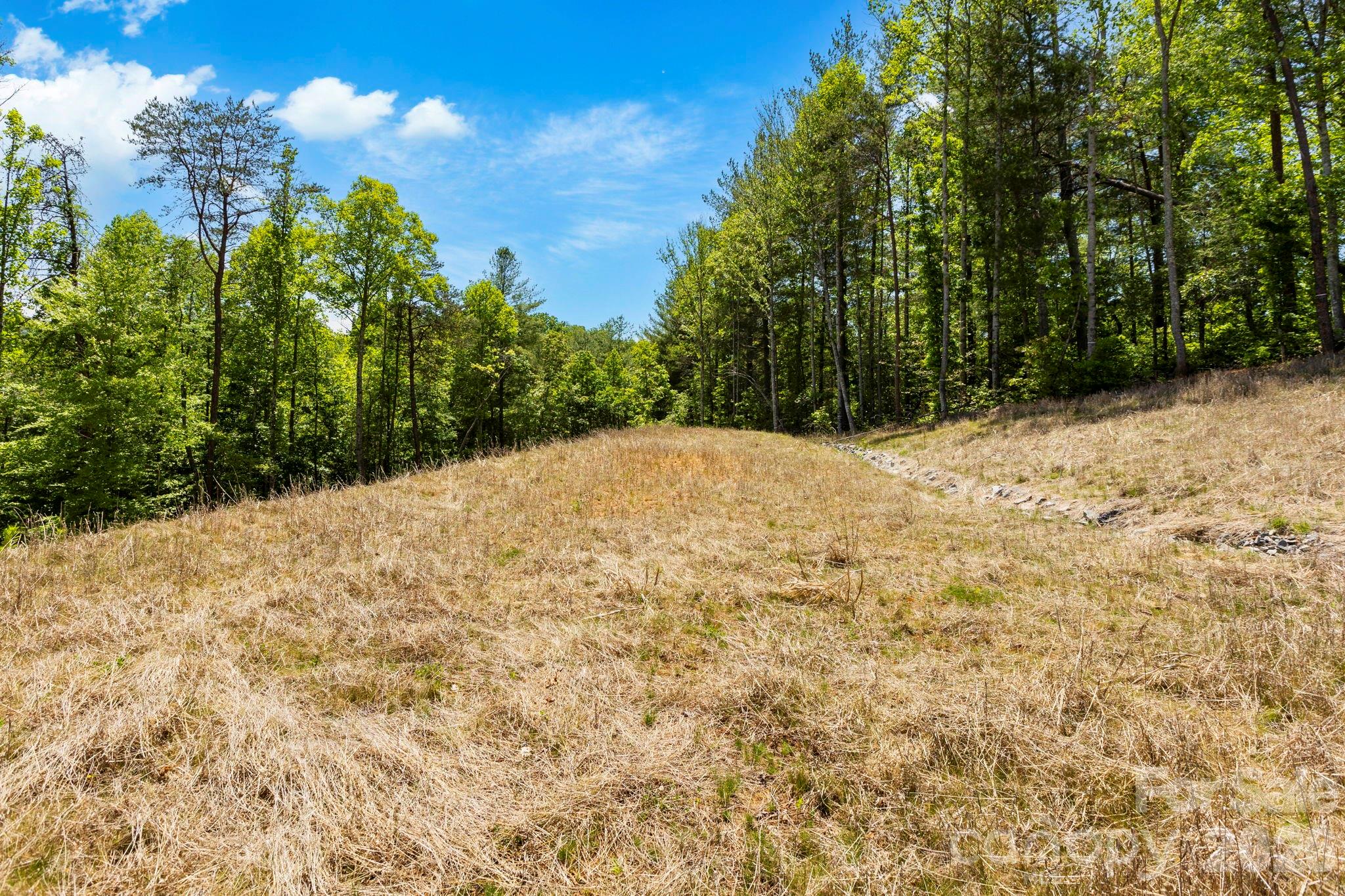 151 Riverbend Forest Drive Asheville NC 28805