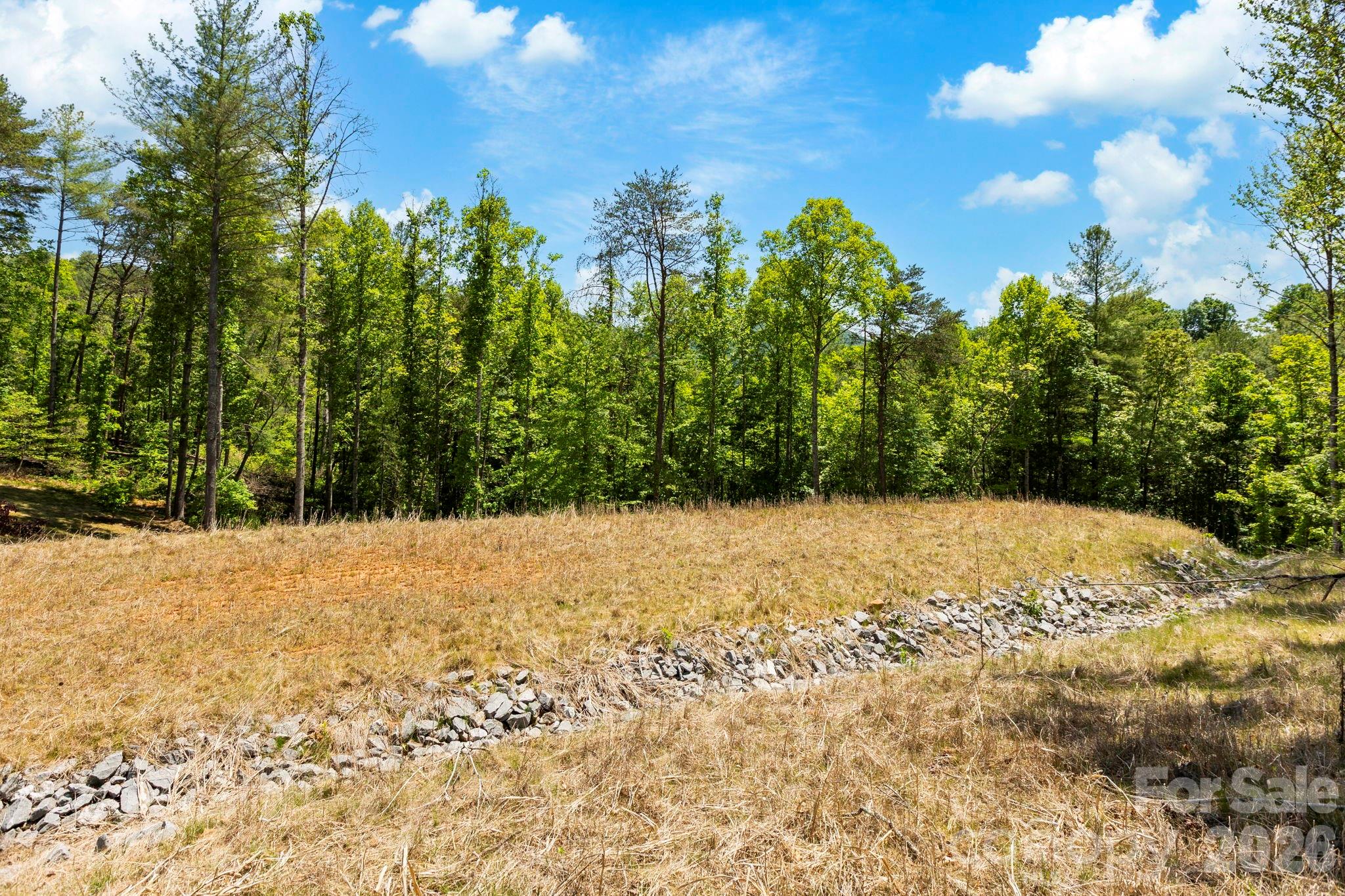 151 Riverbend Forest Drive Asheville NC 28805