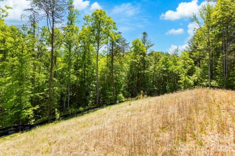 151 Riverbend Forest Drive Asheville NC 28805