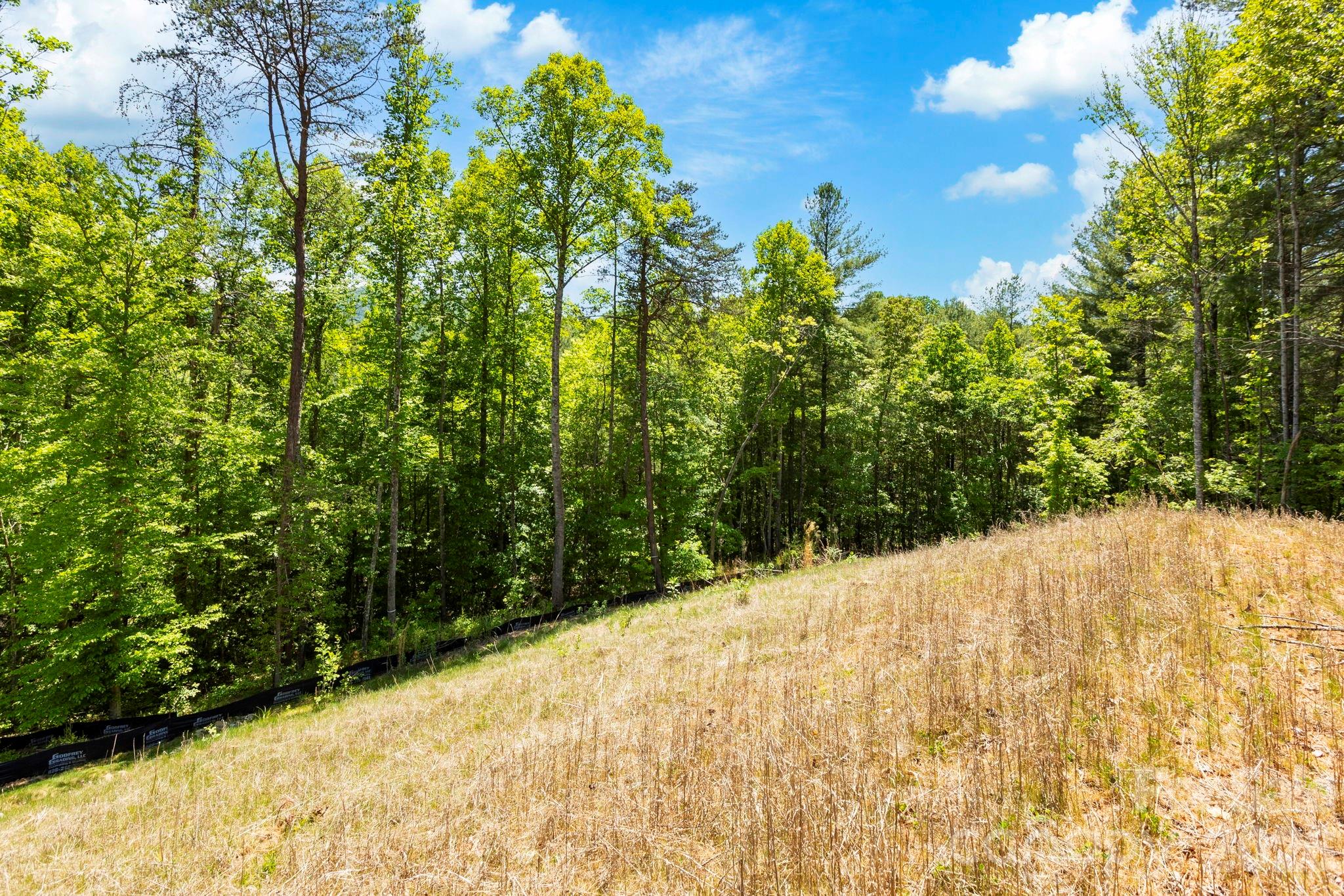 151 Riverbend Forest Drive Asheville NC 28805