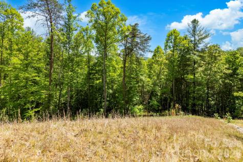 151 Riverbend Forest Drive Asheville NC 28805