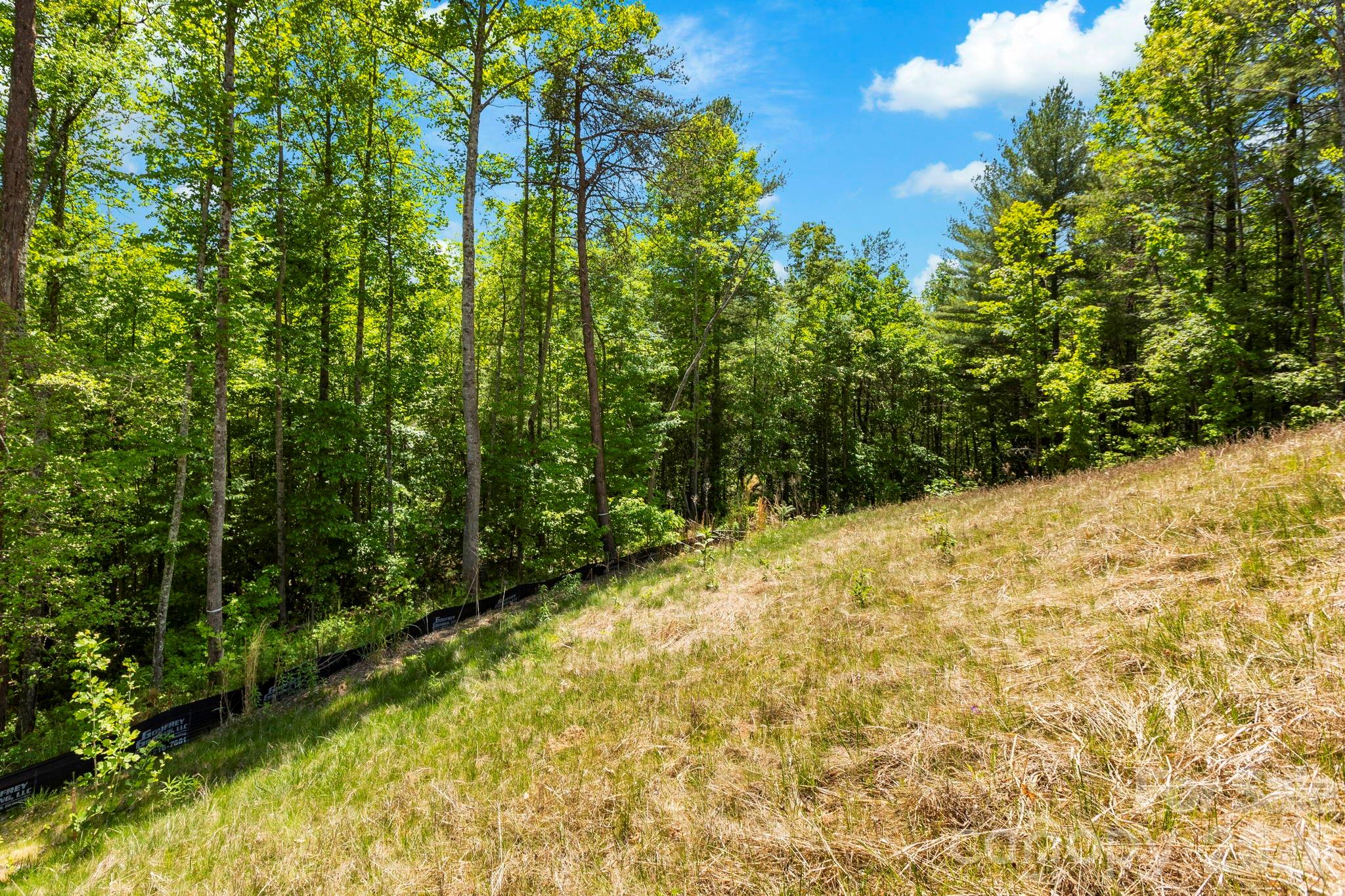 151 Riverbend Forest Drive Asheville NC 28805