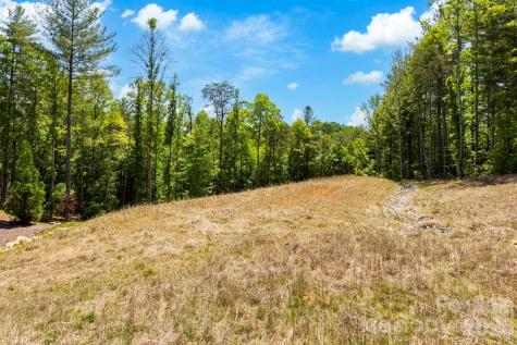 151 Riverbend Forest Drive Asheville NC 28805