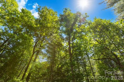 151 Riverbend Forest Drive Asheville NC 28805