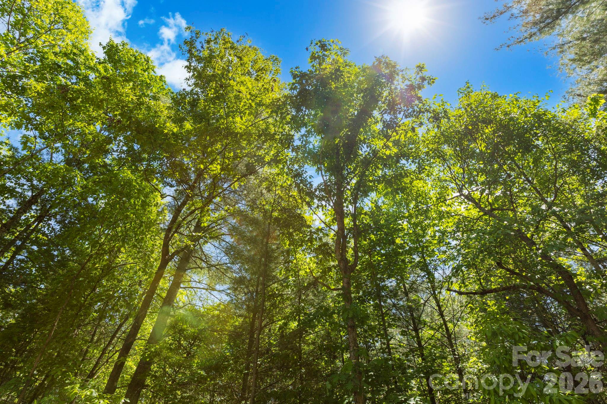 151 Riverbend Forest Drive Asheville NC 28805