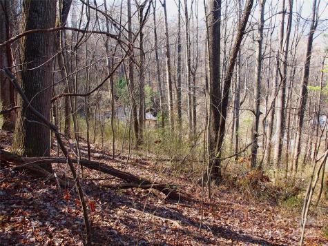 00 Bob Wood Drive Canton NC 28716