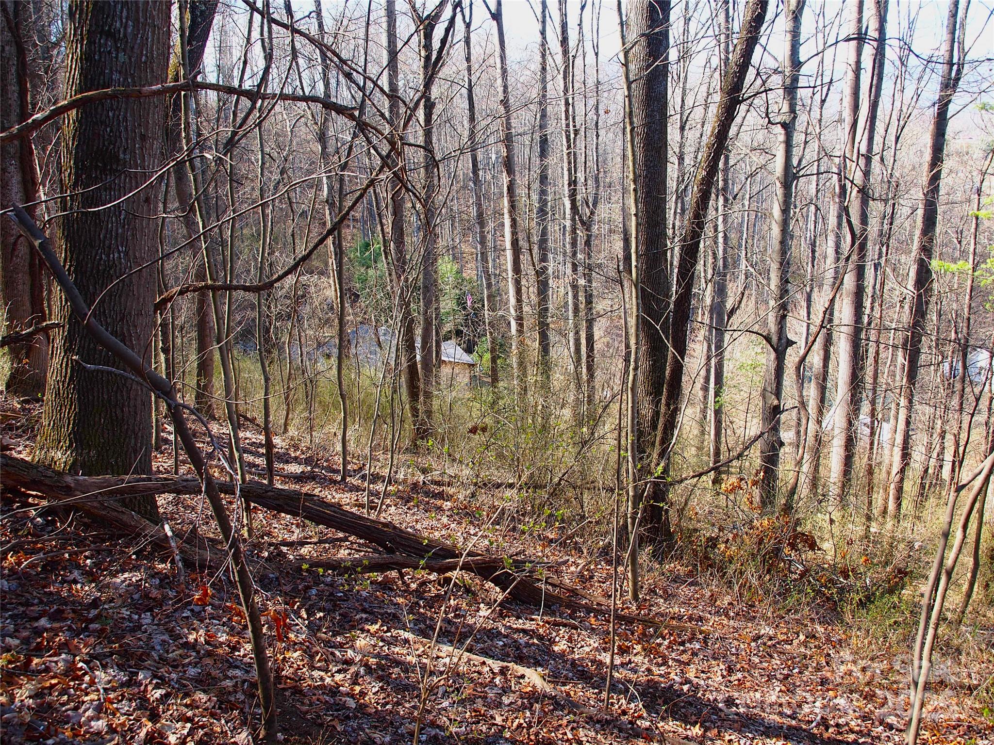 00 Bob Wood Drive Canton NC 28716