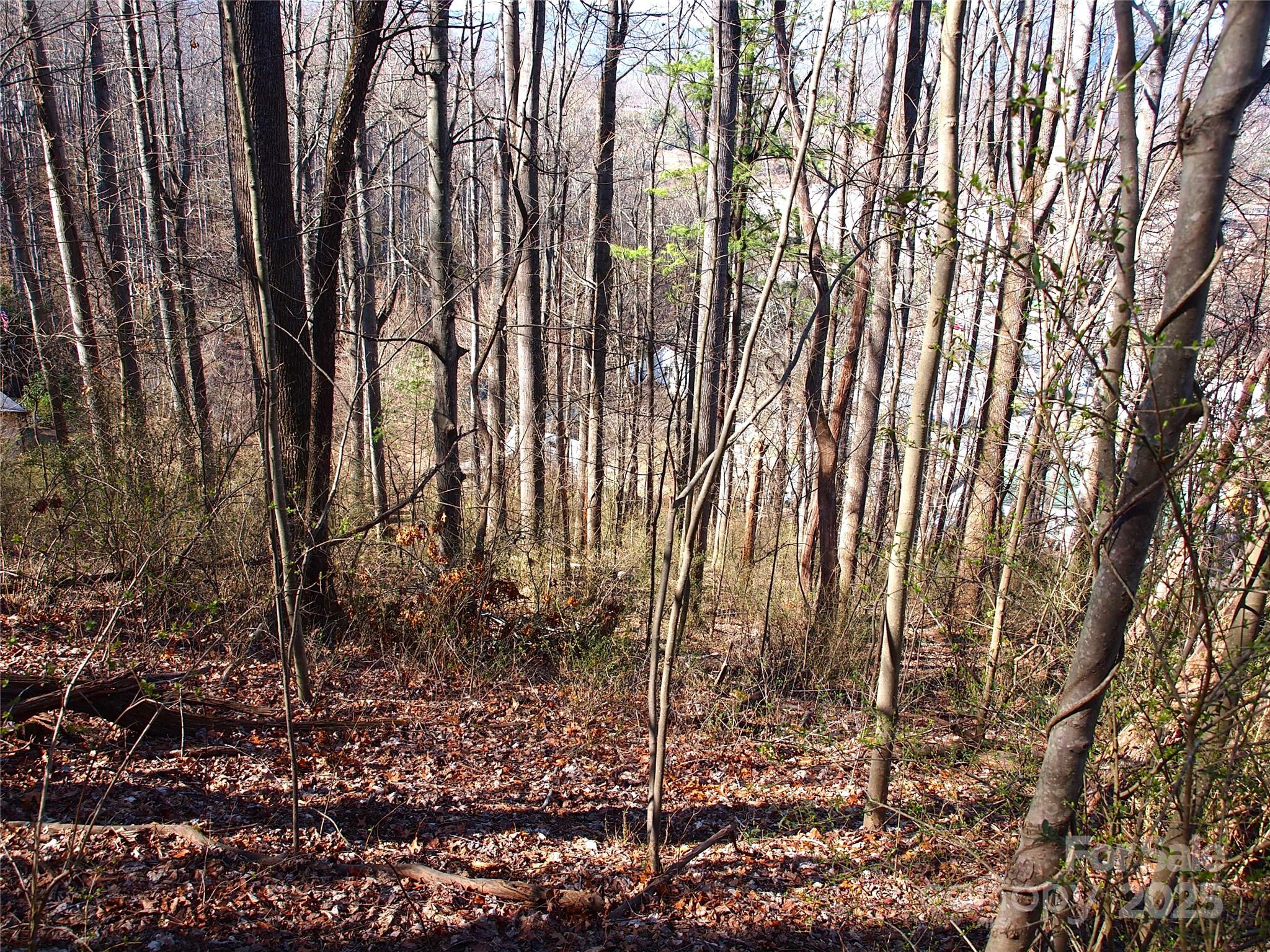00 Bob Wood Drive Canton NC 28716