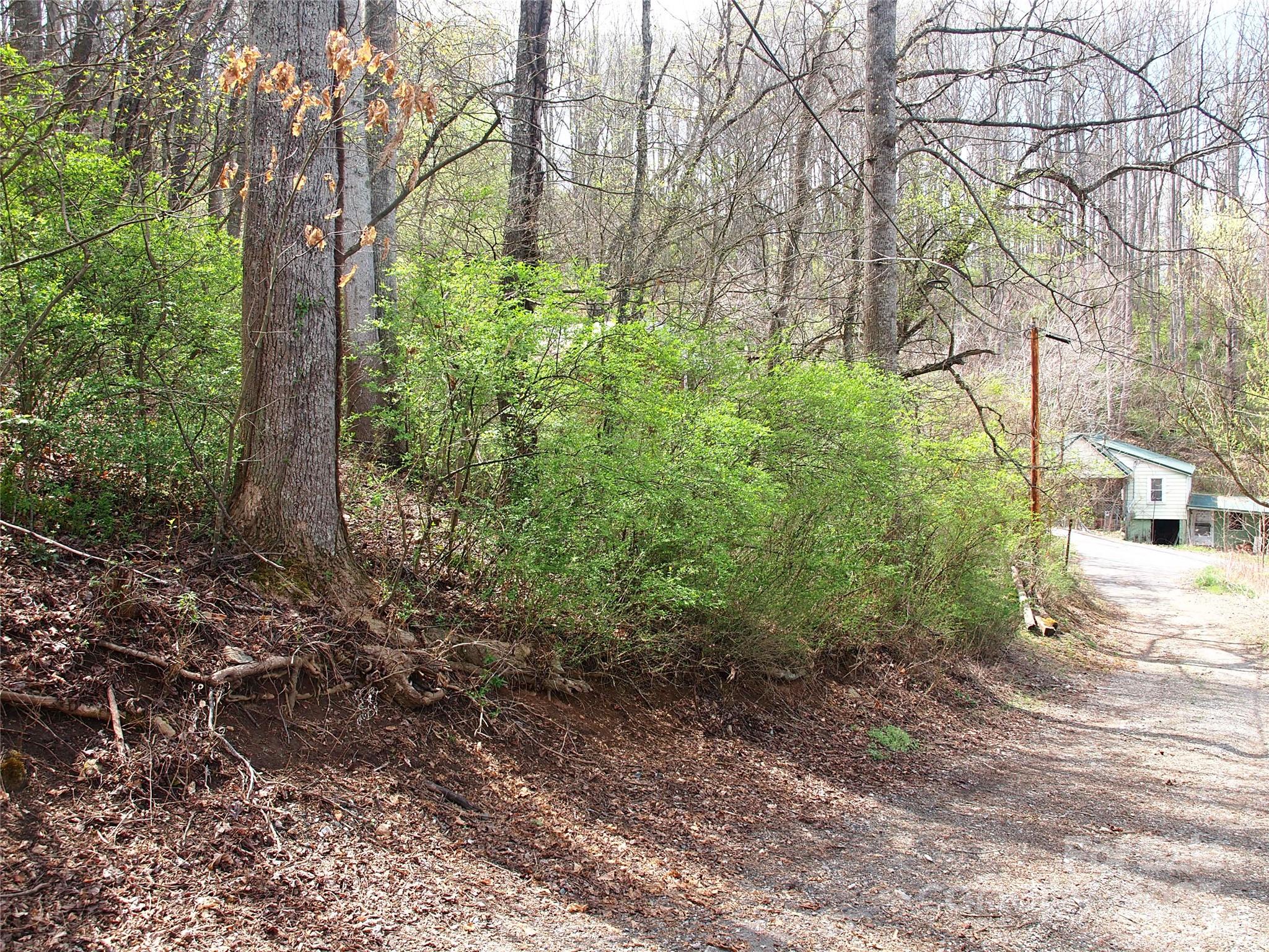 00 Bob Wood Drive Canton NC 28716