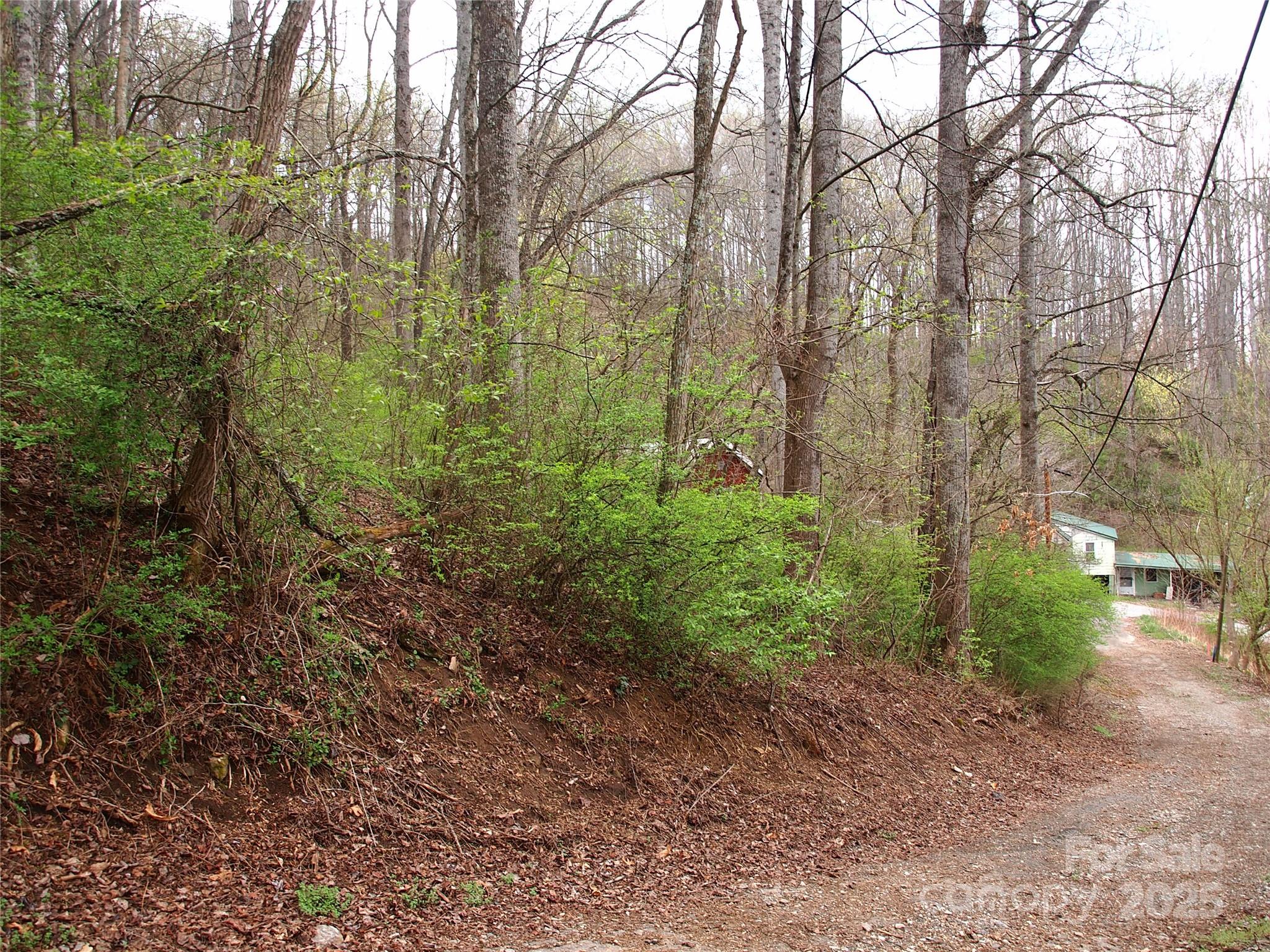 00 Bob Wood Drive Canton NC 28716