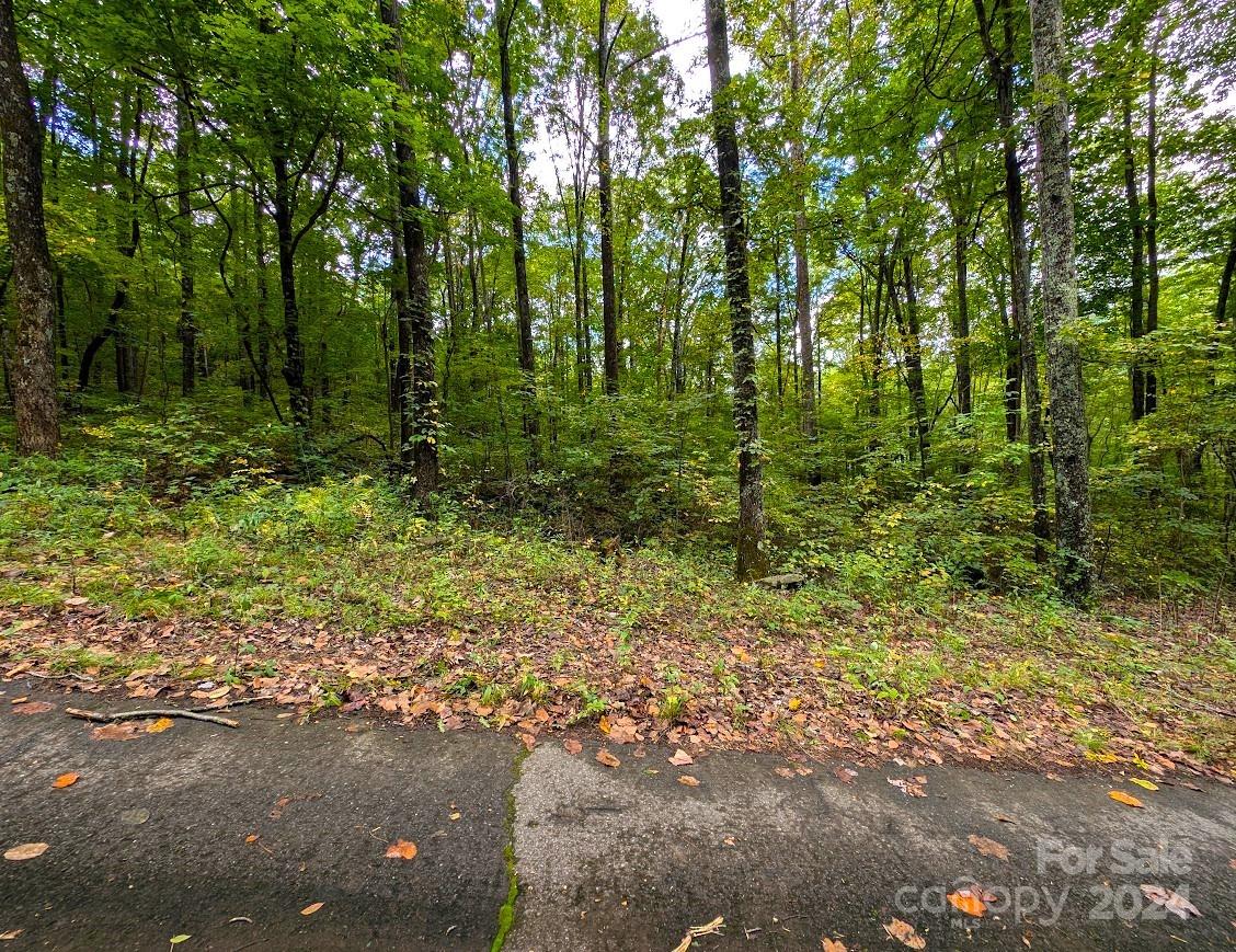 Tbd Horse Cove Road Canton NC 28716