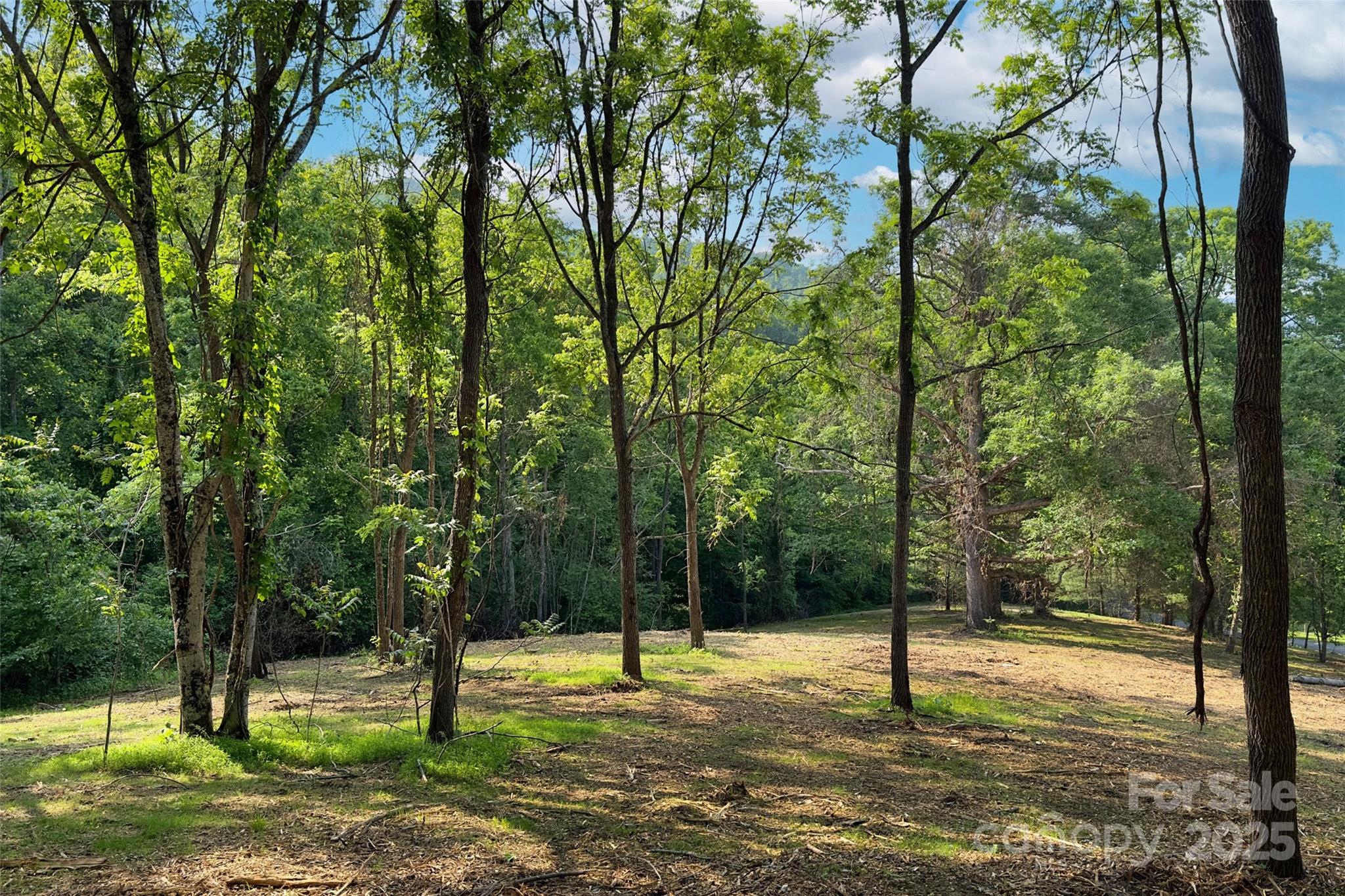 V/l Smith Knolls Road Fairview NC 28730