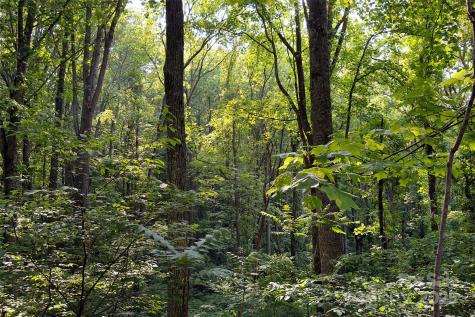 V/l Smith Knolls Road Fairview NC 28730