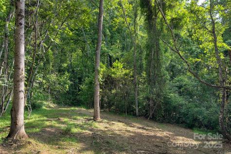 V/l Smith Knolls Road Fairview NC 28730
