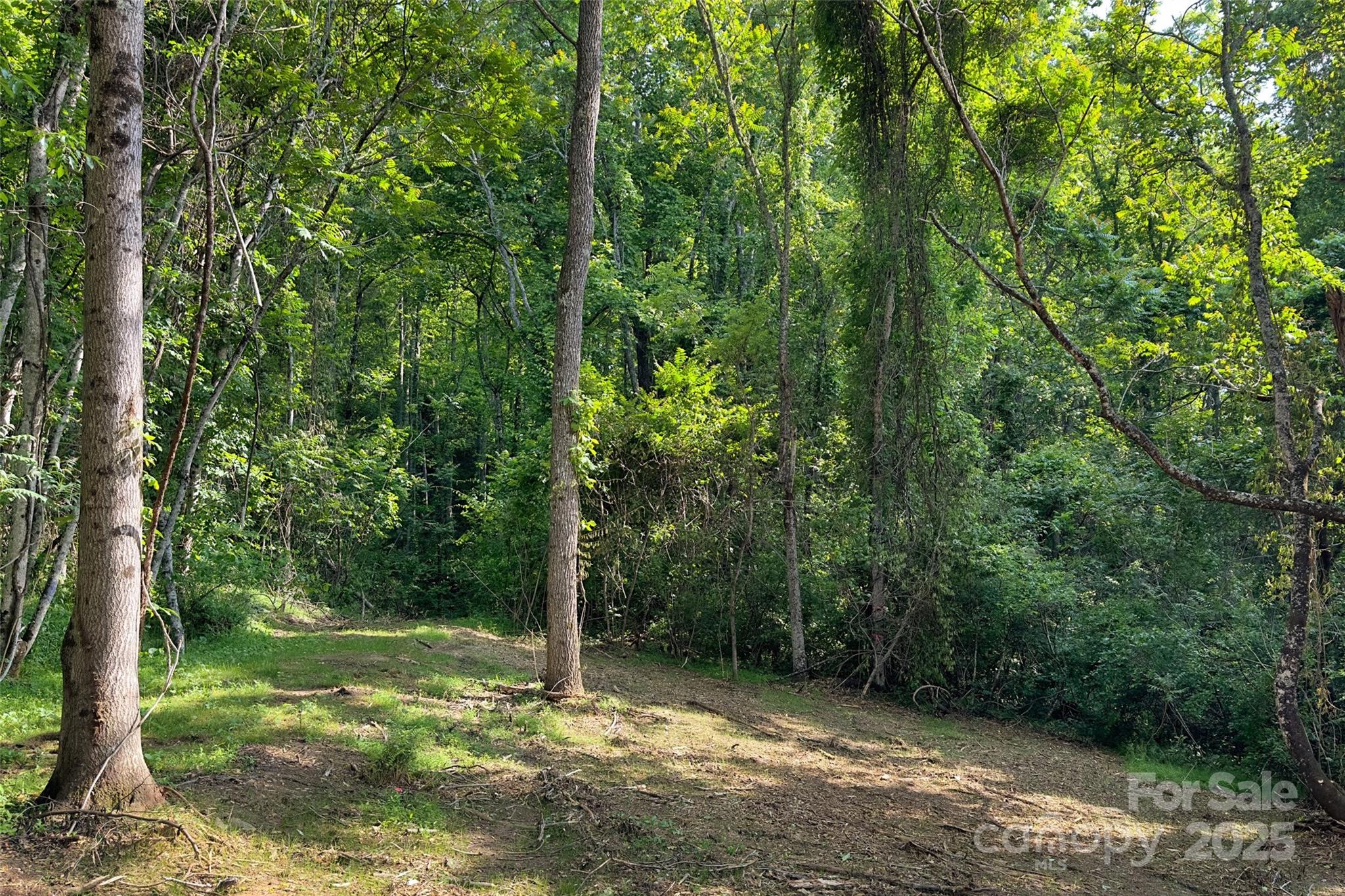 V/l Smith Knolls Road Fairview NC 28730