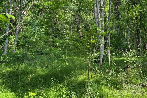 V/l Smith Knolls Road Fairview NC 28730