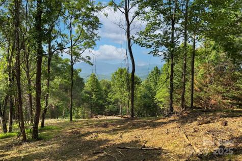 V/l Smith Knolls Road Fairview NC 28730