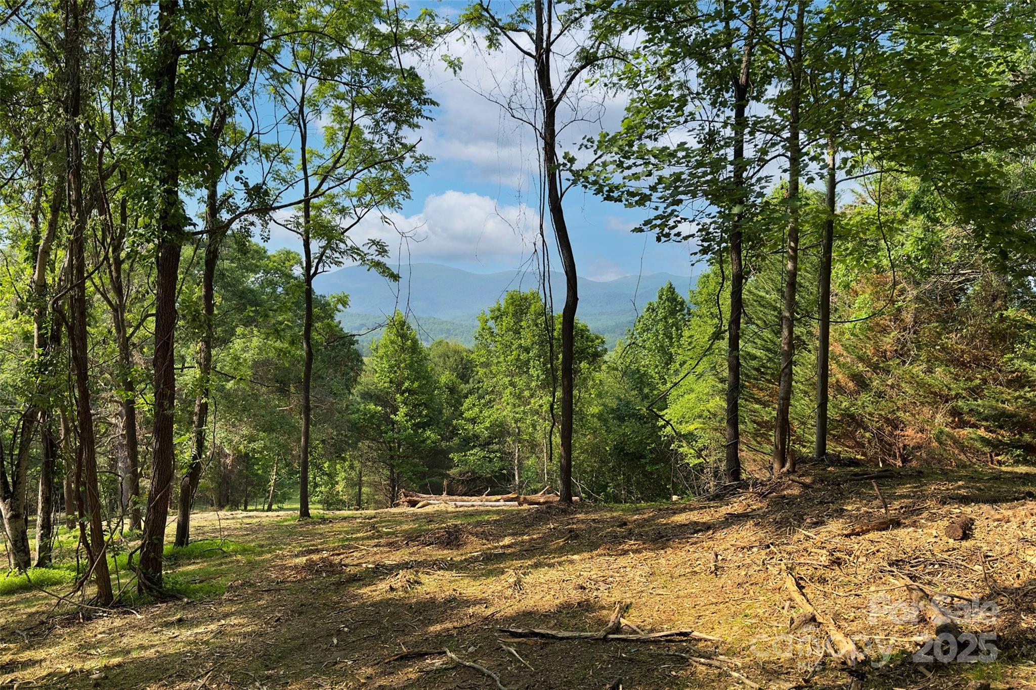 V/l Smith Knolls Road Fairview NC 28730