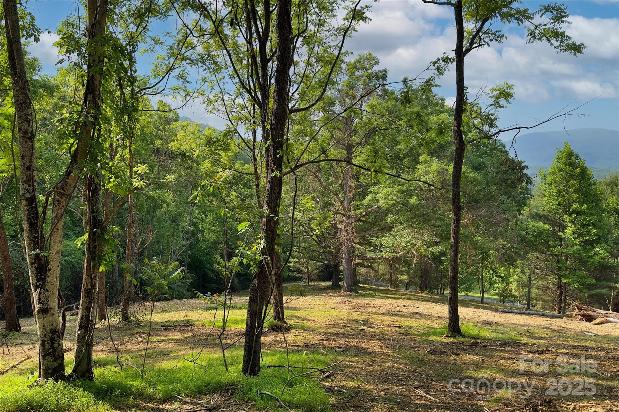 V/l Smith Knolls Road Fairview NC 28730