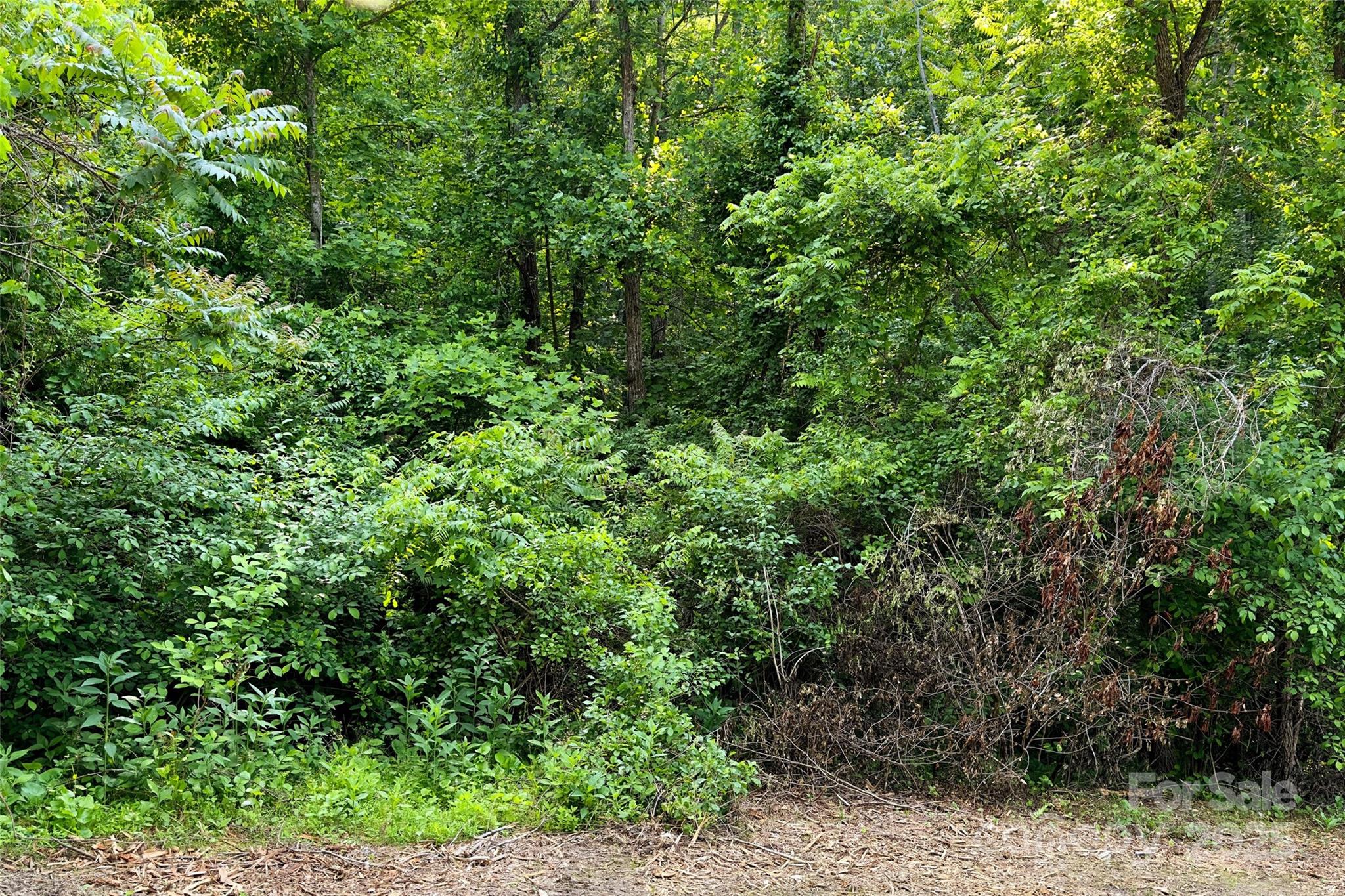 V/l Smith Knolls Road Fairview NC 28730