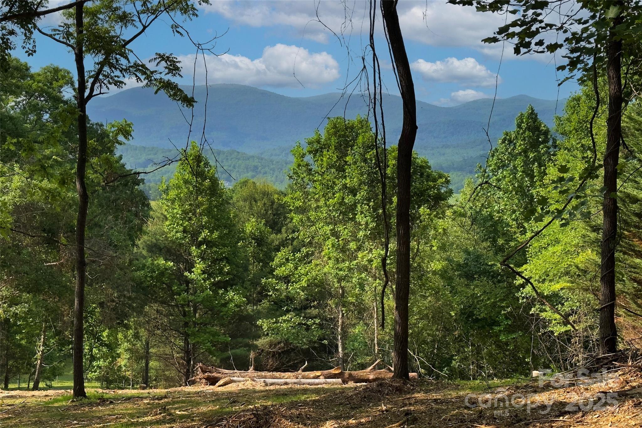V/l Smith Knolls Road Fairview NC 28730