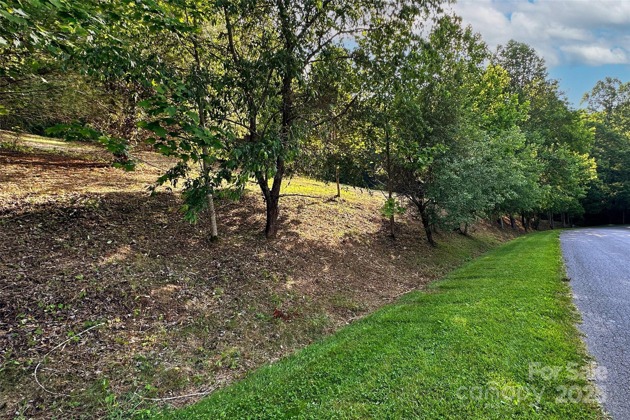 V/l Smith Knolls Road Fairview NC 28730
