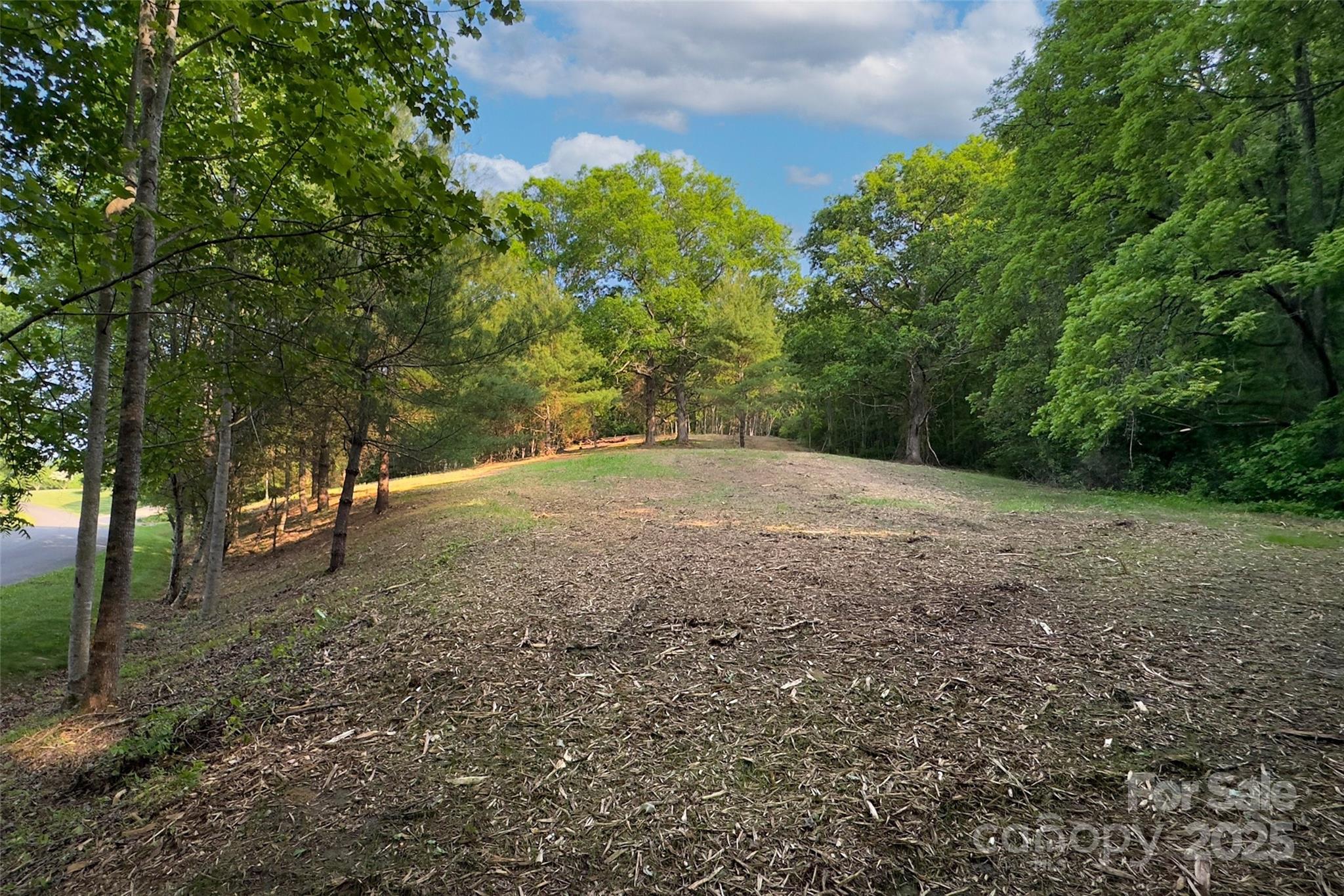 V/l Smith Knolls Road Fairview NC 28730
