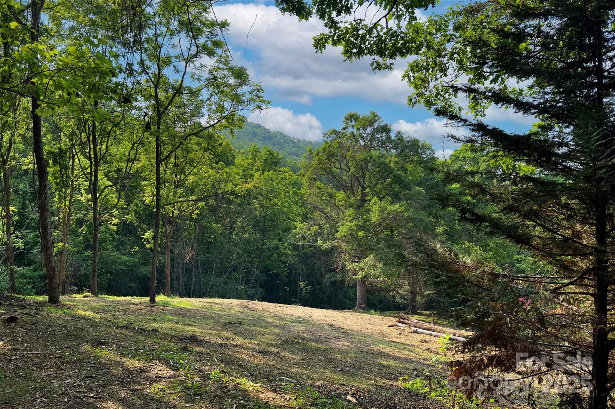 V/l Smith Knolls Road Fairview NC 28730