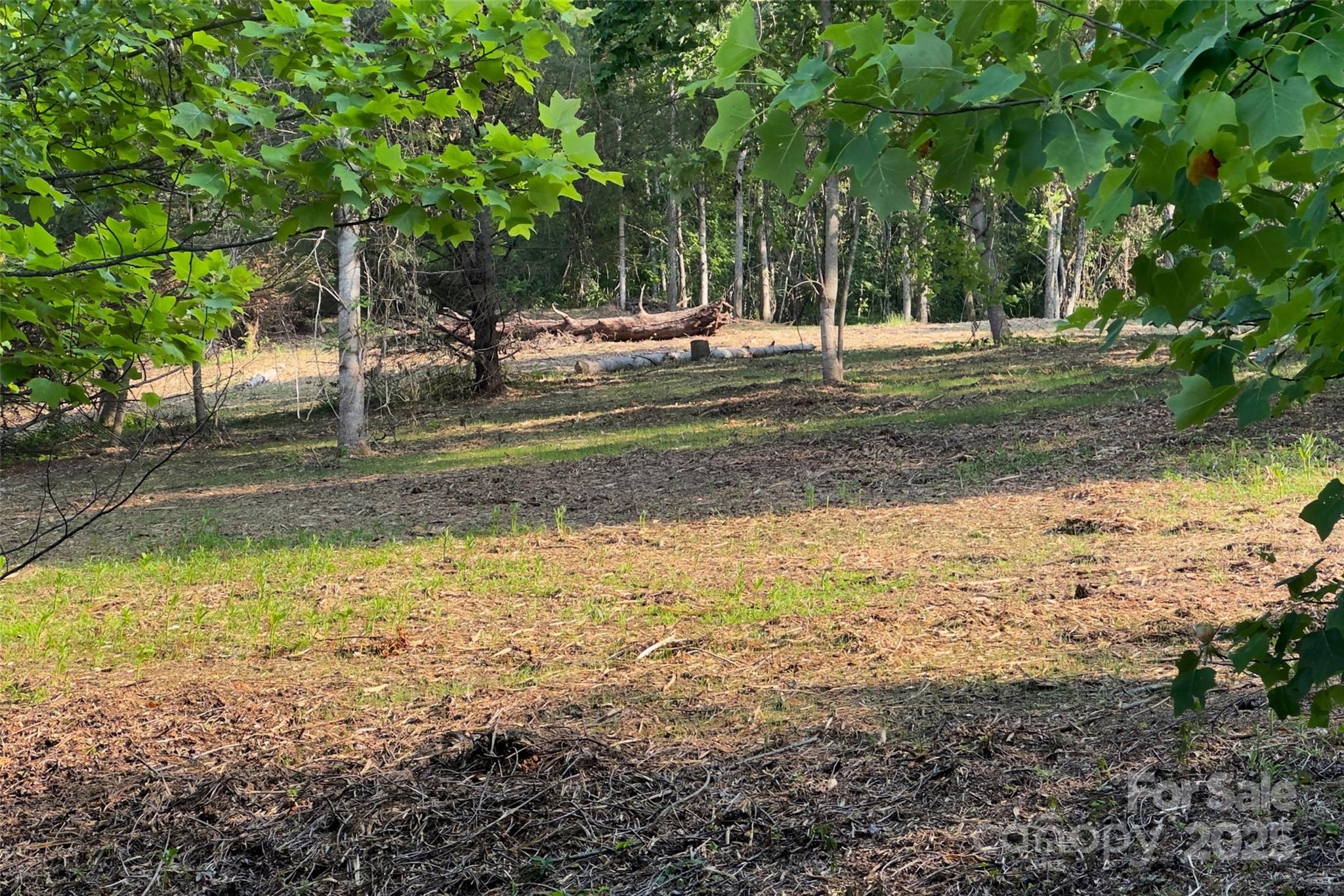 V/l Smith Knolls Road Fairview NC 28730