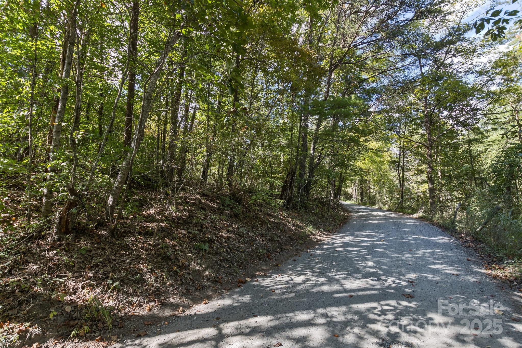 99999 Rocky Hollow Weaverville NC 28787