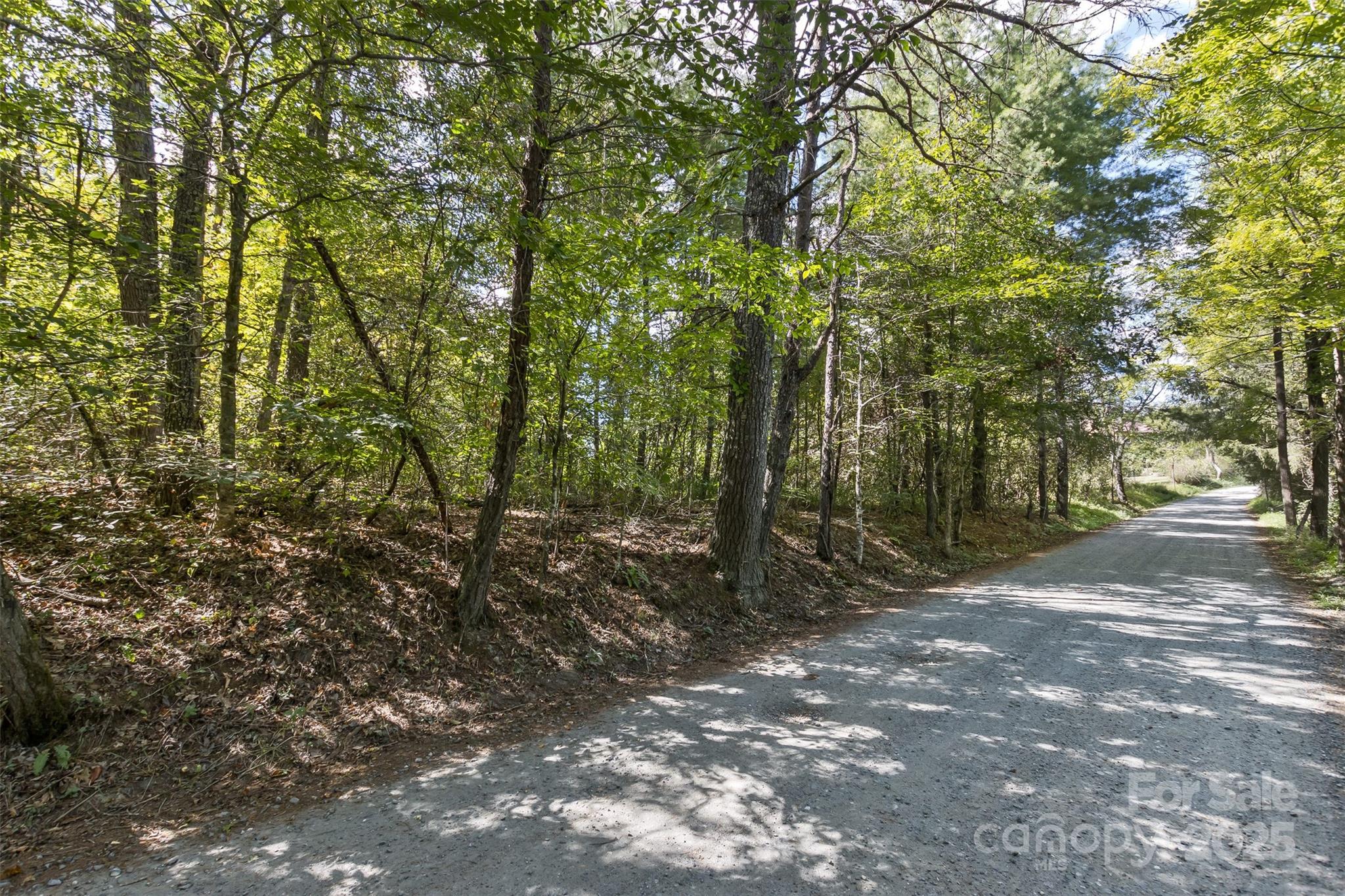 99999 Rocky Hollow Weaverville NC 28787